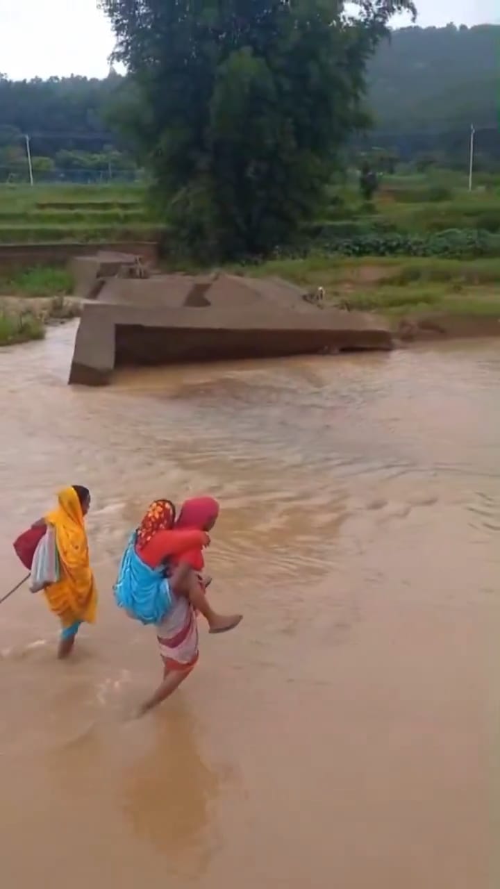 naidunia_image